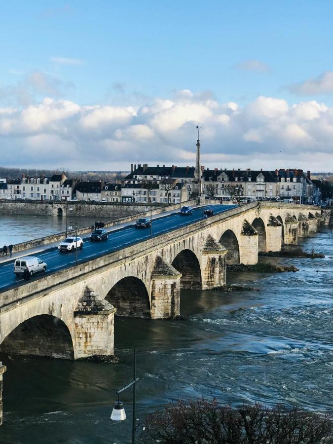Blois, Vue Panoramique Loire 아파트 외부 사진